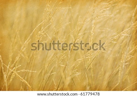 paper textures.  grass background