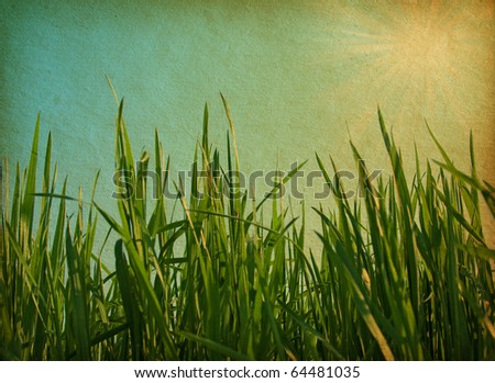 paper texture. Green  grass in grunge and retro style