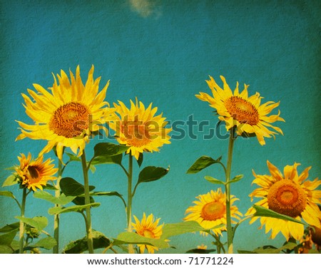 sunflower research paper sunflower research paper