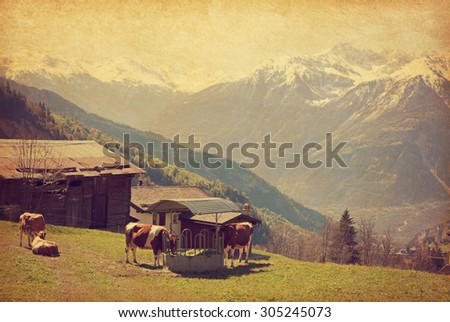 Small farm in Swiss alps.  Bodmen, Valais, Switzerland. Added paper texture