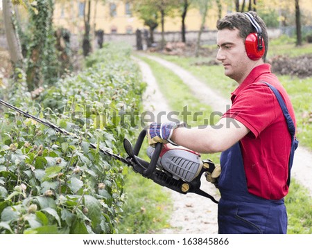 man wearing  ear protectors trimming the bush in the backyard with petrol  bush trimmer
