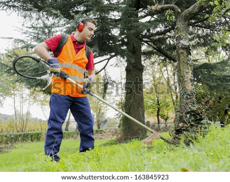 man wearing  ear protectors mowing grass in the backyard with petrol hedge trimmer