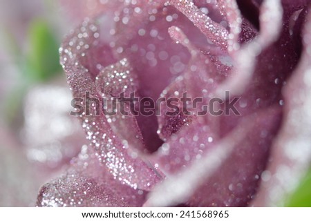 Hand made fabric and plastic flowers in purple color in the closeup picture