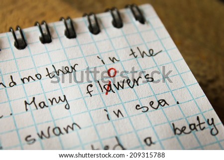 The bug is fixed in red pen in a notebook