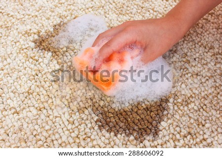Female hand cleans the carpet with a sponge and detergent. Coffee spilled on the carpet.