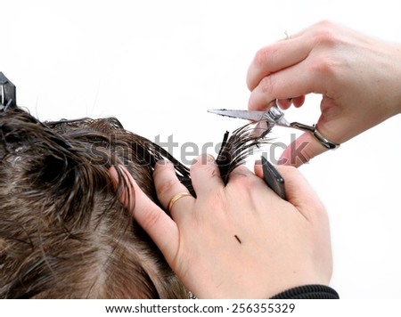 Cutting hair on adult woman of Caucasian origin, photo on white background.