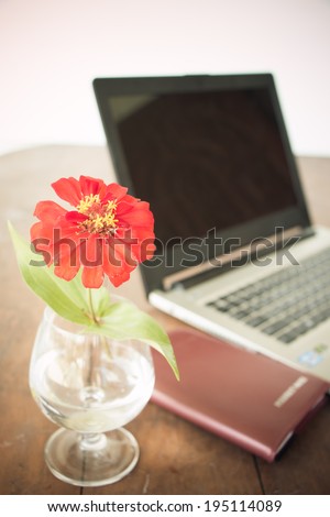 red flower in vase on desk and laptop