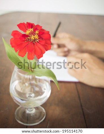 red flower in vase on desk