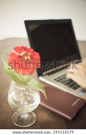 red flower in vase on desk and male hand doing work