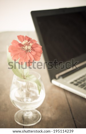 red flowre in vase on desk