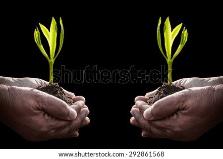 Old human hand holding plant on black background mean ages is can not stop you to learn or do something.