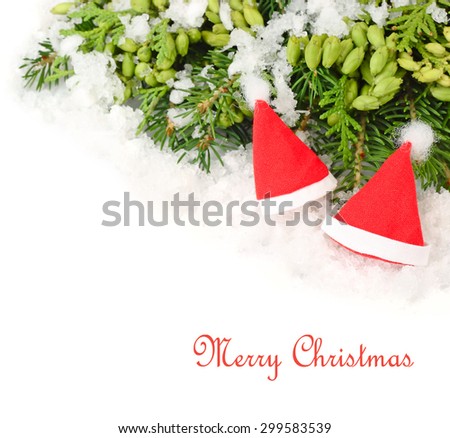Two red Christmas caps on branches of a Christmas tree and other coniferous plants on a white background. A Christmas background with a place for the text.