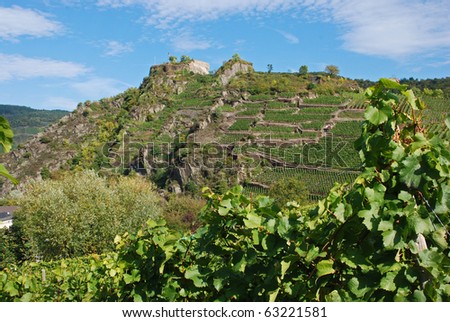 Ahrtal (Ahr Valley) vineyards on rocky slopes