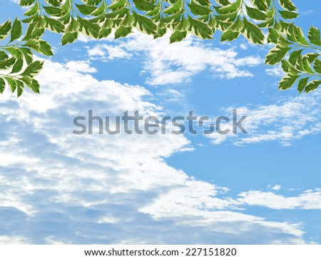 green leaves with blue sky background,leaf frame background