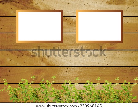 Old  Wood Texture with grass and empty frame use for background