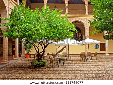 Nice patio with tree in Cordoba, Spain