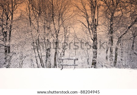 Nice winter photo with bench