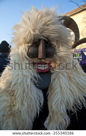 MOHACS, HUNGARY - FEBRUARY 15, 2015: Unidentified people in mask participants at the Mohacsi Busojaras, a carnival for spring greetings on February 15, 2015 in Mohacs, Hungary.