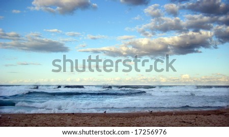 cloudy ocean shore