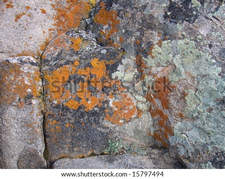 Natural Lichen moss patterns on granite stone, #2