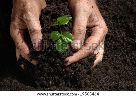 hands in dirt