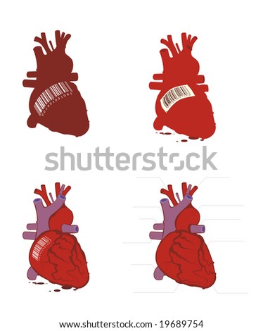 human body heart. stock vector : Human body on