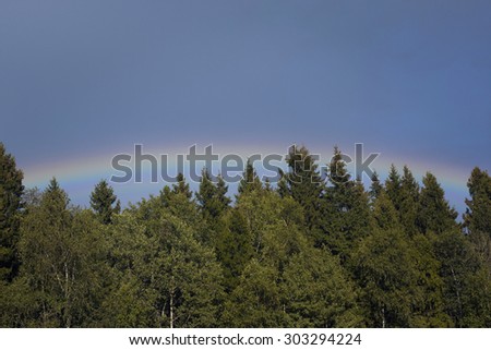 Rainbow over the forest.