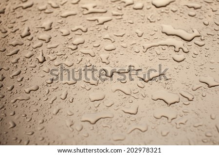 Raindrops on a clear background.
