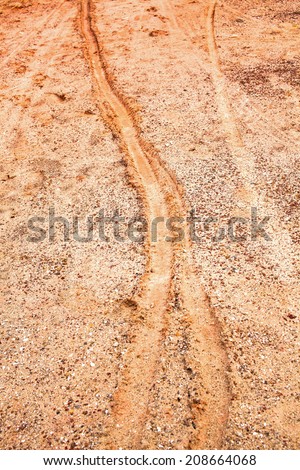 dry and cracked soil with motorbike trace