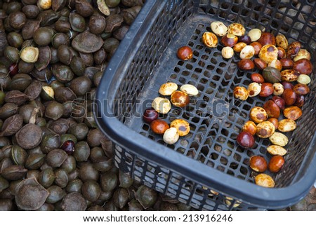 Choosing  the nuts in hard shell