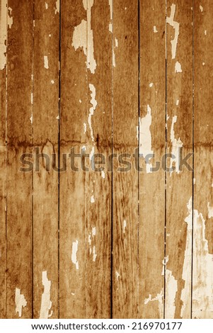 Old wood texture, vintage natural background.