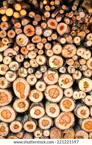Background of dry chopped firewood logs stacked up on top of each other in a pile