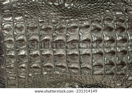 crocodile skin design - artificial black and white details texture
