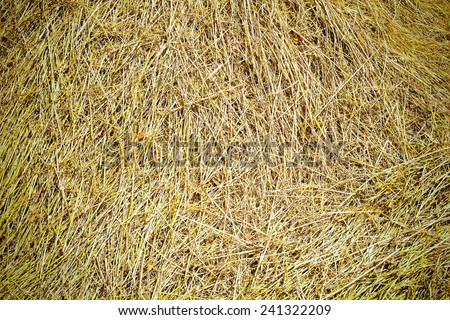 Straw seat in front of straw wall
