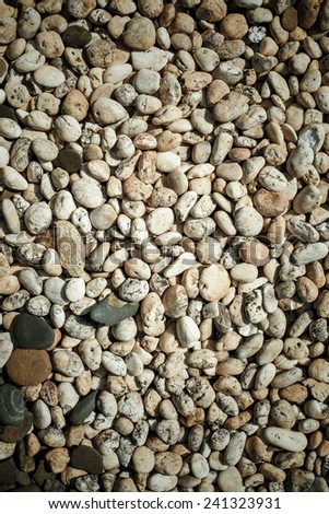Variety of gravel decorated on ground in garden