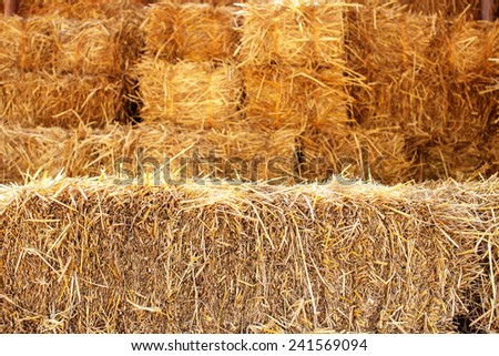 pile of straw used animal food in farm