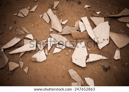 Fragments of broken floor tiles