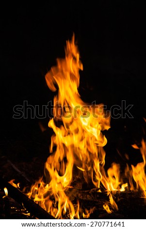 flames from a fire on a black background. picture