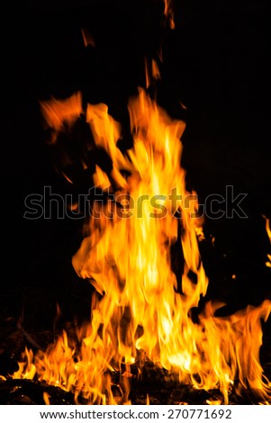 flames from a fire on a black background. picture