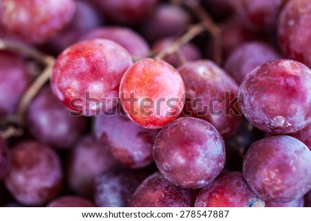 Red grape with water drops, closeup background