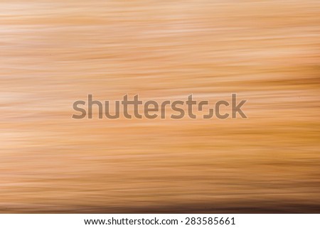 blur Abstract wooden swirl fiber textured background.