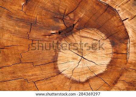 Timber texture.