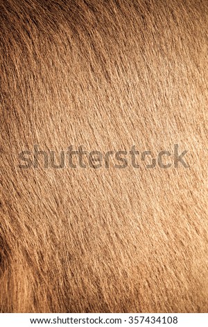 Cow fur (skin) texture.