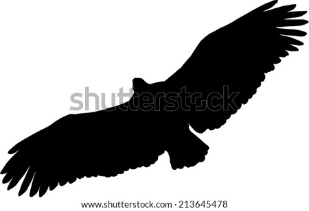 Vector of Eagle in Flight Silhouette Vector of Eagle in Flight Silhouette