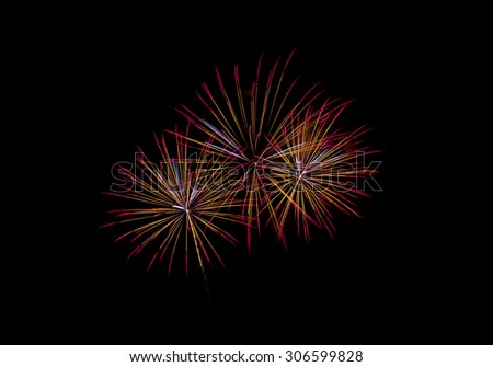 Fireworks,Fireworks light up the sky,Five Fireworks,Happy new year Team