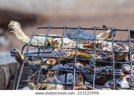 Frogs gets grilled on the steel grating