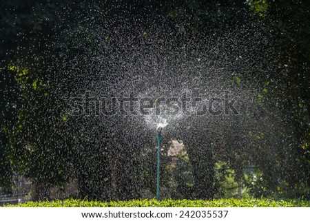 sprinkler head watering the flowers and grass