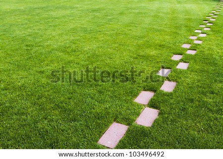 Pathway of stone bricks leading up and away at an angle in a grass field. Who knows where it leads?