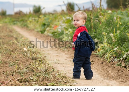 After a hay ride a toddler was walking through the pumpkin patch to pick his pumpkin