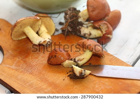wild boletus mushrooms on a chopping board